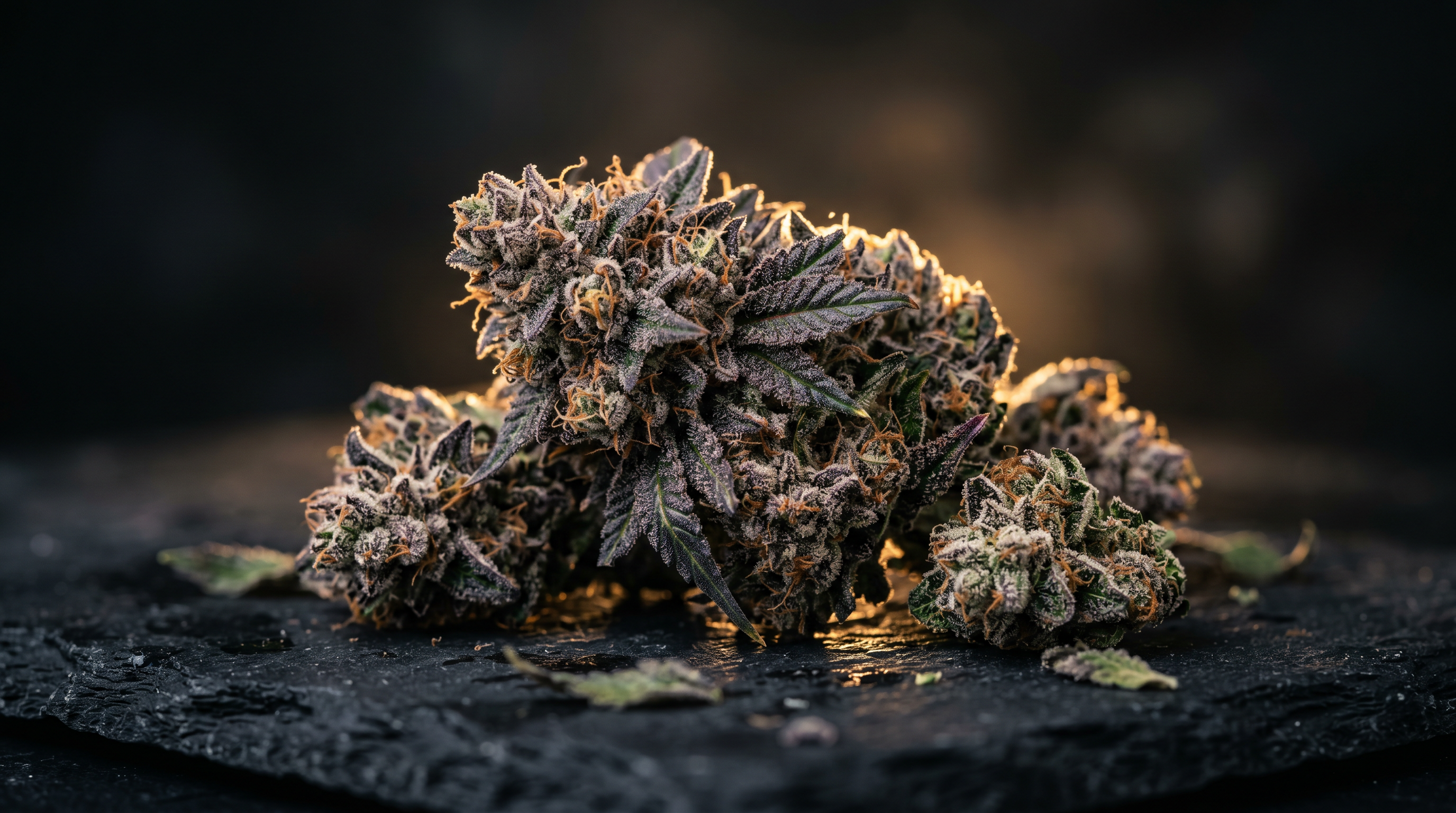 Krippy Premium THCA